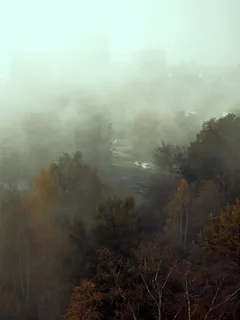 zelené stromy pod bílou oblohou během dne