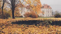 Hnědý strom u bílé betonové budovy za denního světla