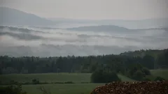 pole ovsa za podzimního rána v Sainte-Apolline, Québec, Kanada