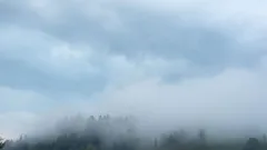 Zelené pole s trávou zatažené mlhou