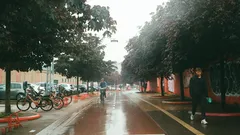 Mokrá ulice s lidmi a stromy ve městě