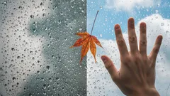 Ruka u okna, kapky deště, podzimní list a modrá obloha s mraky, kontrast počasí.