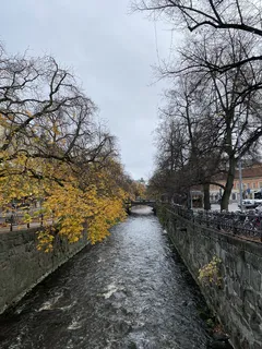 Řeka s mostem a stromy po obou stranách